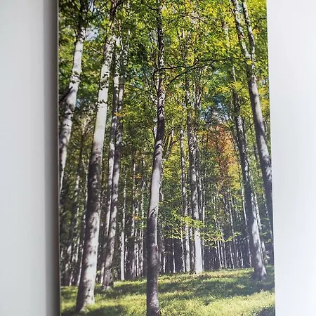 Apartment's Tea & Nevio *